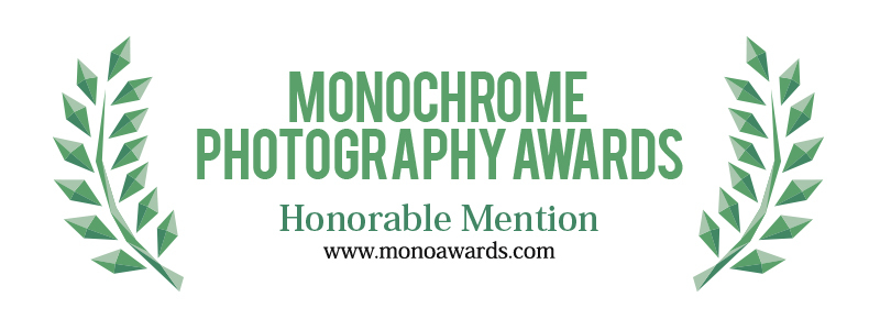 8 x Awarded Honorable Mention 2019
